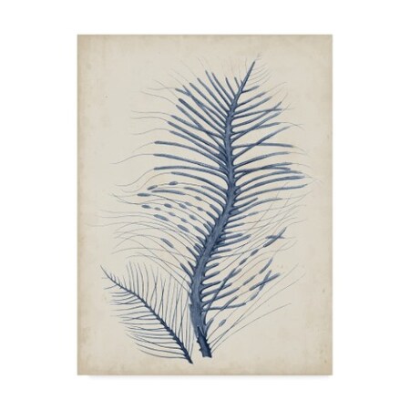 Trademark Fine Art Vision Studio 'Indigo Coral V' Canvas Art, 18x24 WAG07892-C1824GG